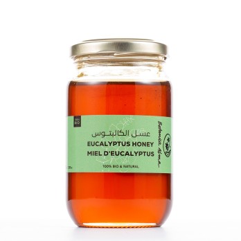 Miel Eucalyptus